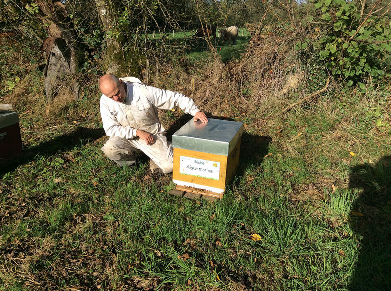 La ruche Aigue marine